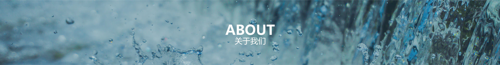 关于LETOU乐投