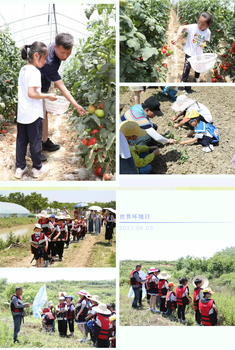 20210607090927_40061 LETOU - 乐投(中文)官方网站